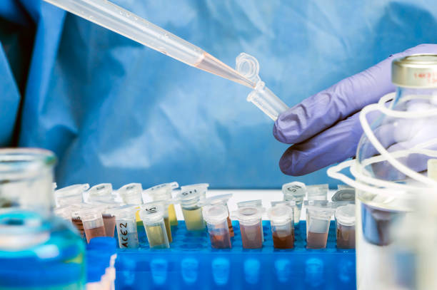 Scientific analysis of wastewater sample in laboratory, investigation of possible contamination by Sars-Cov-2 in humans, conceptual image stock photo