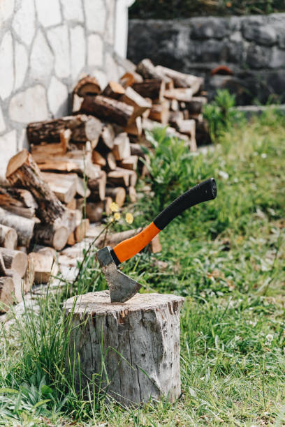istock Axe for the crib logs sticks stuck in a tree 1222838002