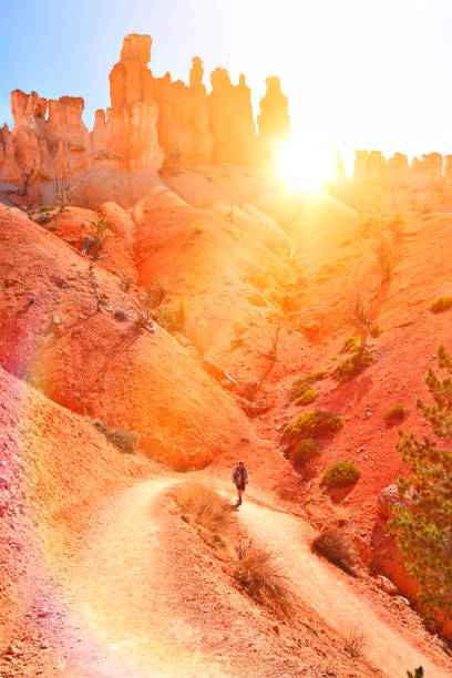 istock Young man hiking in Bryce Canyon National Park. Peekaboo loop trail 1222841748