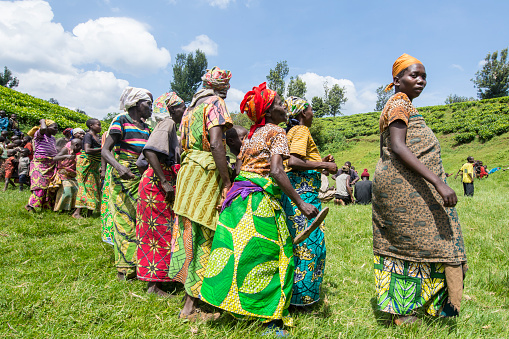 Buyungule Village, South-Kivu, Congo, Democratic Republic - January 03, 2016: A group of pygmy women is dancing in their village Buyungule, they are celebrating the arrival of some foreign visitors. Some of the women are carrying their children on the back while they are dancing. The dance takes place on the main place of the village. Buyungule is a village of the Batwa Pygmies, the native people of the Kahuzi Biega area.
Kahuzi-Biega Forest was the home of Batwa pygmies before it  was gazeeted as a National Park in 1970.  The life of the pygmy people was closely linked to the forest – there they found all what they needed for their life (food, medicine, shelter, etc.).  After the loss of their original habitat a lot of Pygmy people feel that they have lost their dignity as human being.