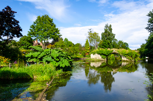 Small pond as part of landscaping with aquatic plants and water lilies surrounded by lush vegetation