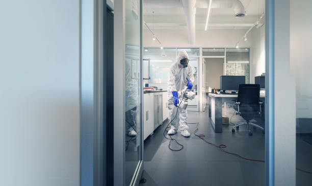 Professional spray and sanitation of a corporate office