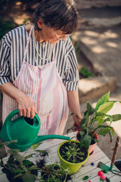 istock Grandma plants flowers 1222842588
