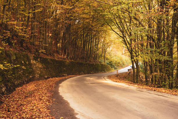 istock Beautiful autumn landscape 1222845953