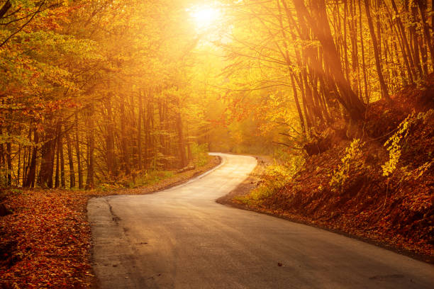 istock Beautiful autumn landscape 1222845967