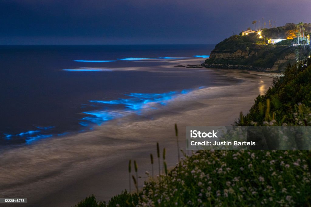 Bioluminescence Coastline Cyan Bioluminescence on San Diego Coastline Beach at night at Swamis Beach in Encinitas, San Diego, California. Bioluminescence Stock Photo