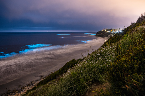 Cyan Bioluminescence on San Diego Coastline Beach at night at Swamis Beach in Encinitas, San Diego, California.