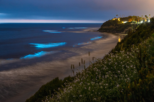 Cyan Bioluminescence on San Diego Coastline Beach at night at Swamis Beach in Encinitas, San Diego, California.