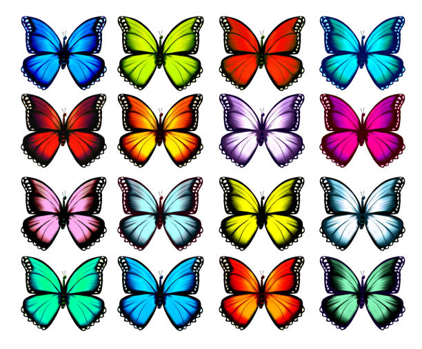 istock Big collection of colorful butterflies. Vector 1222847265
