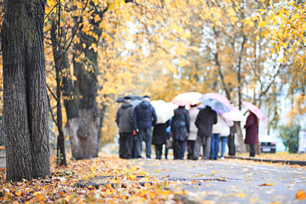 Autumn rain in the park during the day
