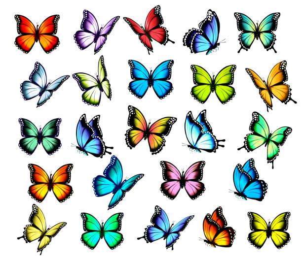 istock Big group of colorful butterflies, flying in different directions. Vector. 1222847315