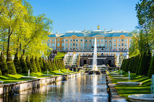 Saint Petersburg, Russia - May 18, 2019: Golden fountains of Peter's Palace, Saint Petersburg, Russia