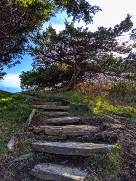 istock Walkway up a hill along a grassy area 1222847622