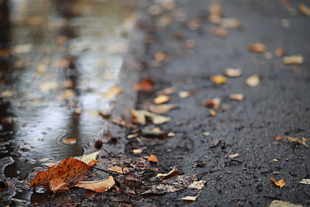 istock Autumn rain in the park 1222848561