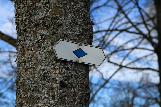 istock Direction signs on trees in the forest 1222850120