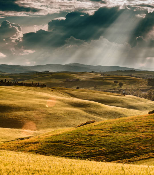 istock Sunny landscape from Val d'Orcia, Tuscany, Italy 1222850876