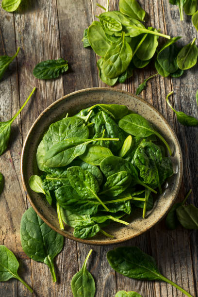 istock Raw Organic Fresh Baby Spinach 1222850905