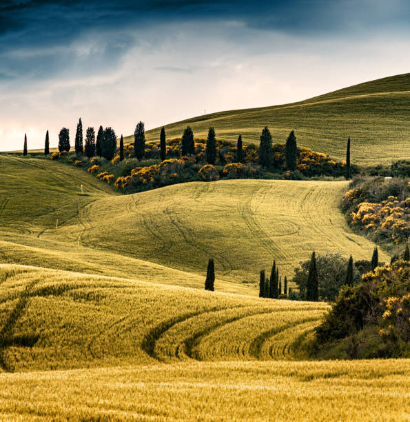 sunny landscape from val d'orcia, tuscany, italy - morning italy shadow sunlight photos et images de collection