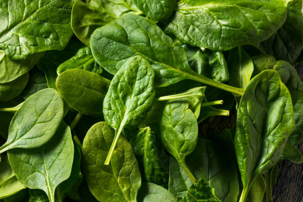 istock Raw Organic Fresh Baby Spinach 1222851230