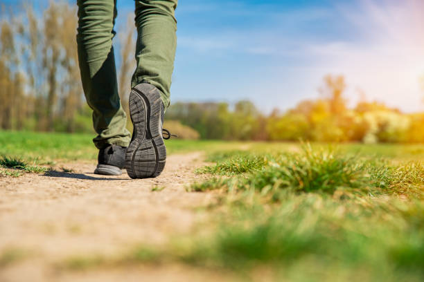 istock tourist walking along a hiking trail. copy space 1222852541
