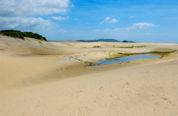 istock Dunes in Cabo Frio, Rio de Janeiro 1222853347