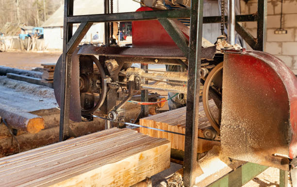 istock Working tape sawmill in action, close-up 1222853835