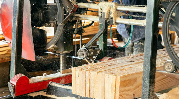 istock Working tape sawmill in action, close-up 1222854013
