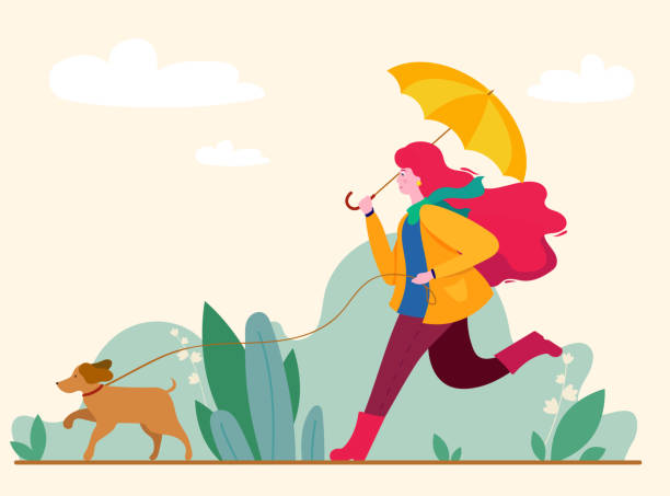 ilustrações de stock, clip art, desenhos animados e ícones de girl and dog walking in the autumn park - adult autumn backgrounds beauty