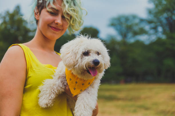 istock Young woman holding cute little dog 1222859554