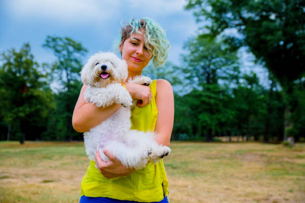 istock Girl with a puppy in her hands 1222859817