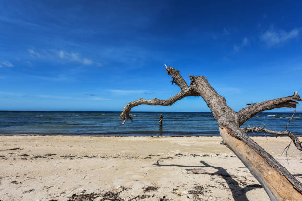 istock Londa Lima Beach, East Sumba. 1222860461