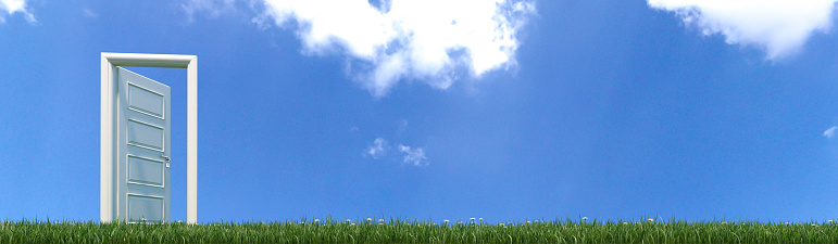 open white wooden door opening to freedom in green grass with flowers and blue sky realistic 3D rendering