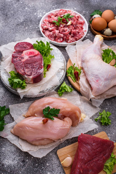 istock Various raw meat, sources of animal protein 1222863140