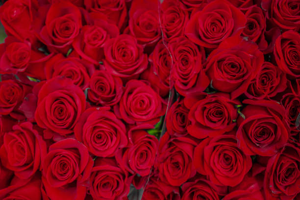 istock Red rose bouquets in a grocery store 1222864079