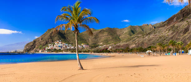 best beaches of canary islands - beautiful  las teresitas in tenerife - teresitas imagens e fotografias de stock