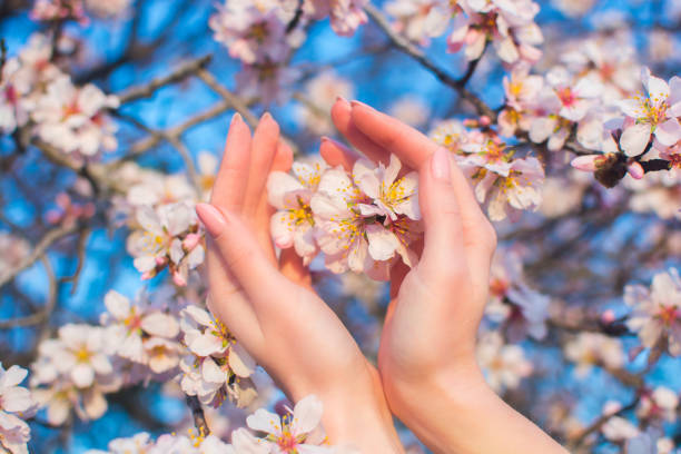 istock Hands of a girl 1222865164