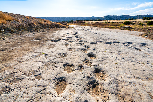 Jurassic Period dinosaur footprints within Comanche National Grassland