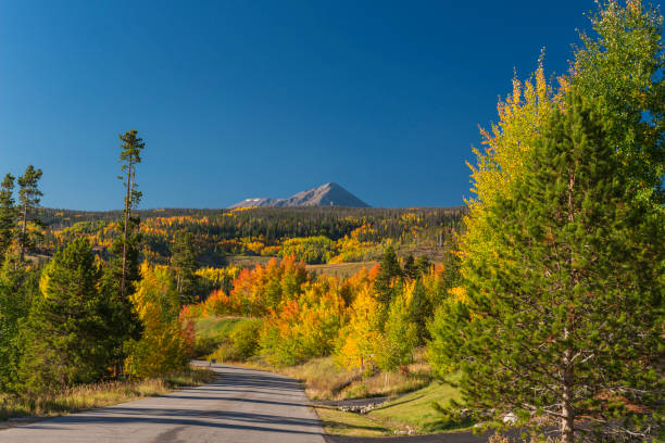 istock Fall Colors in the Colorado Rocky Mountains 1222869008