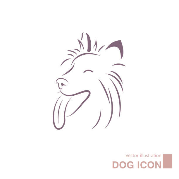 Vector drawn dog. Vector drawn dog. Isolated on white background. shetland sheepdog stock illustrations