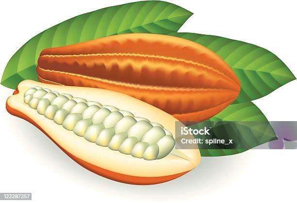 Kakaobohnen Vektorillustration Auf Weißem Hintergrund Stock Vektor Art und mehr Bilder von Butter