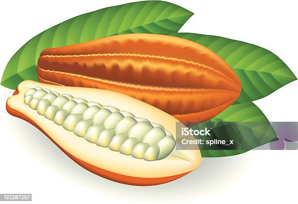 Ziarna Kakaowego Ilustracja Wektorowa Na Białym Tle - Stockowe grafiki wektorowe i więcej obrazów Masło