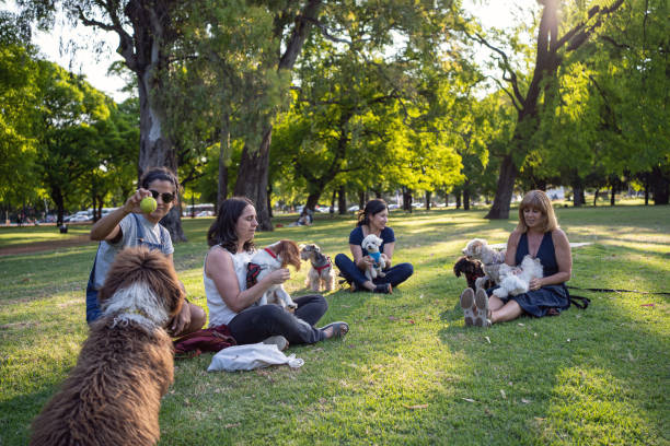 istock Pet owners talking and bonding while sitting on a meadow 1222872798