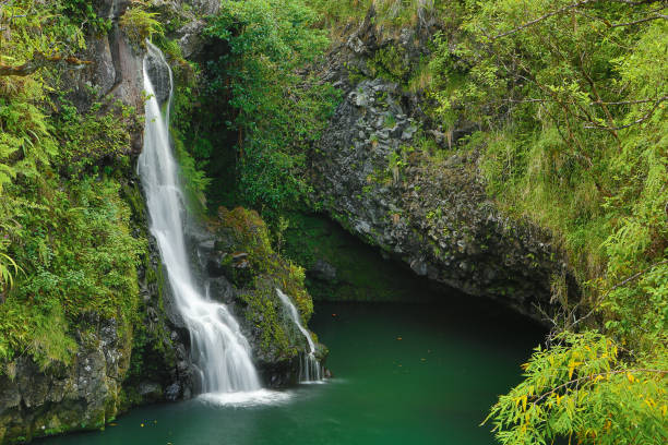istock Hana Road waterfalls, Maui, Hawaii 1222889825