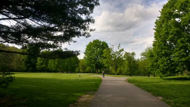 istock landscape  with trees in the park  trees in the woods 1222891299