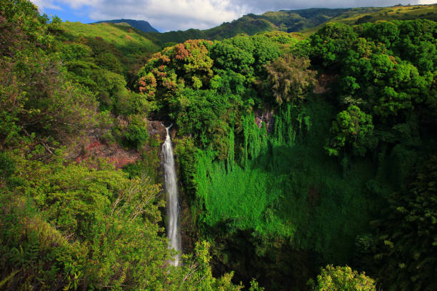 istock Waimoku Falls, Maui, Hawaii 1222893269