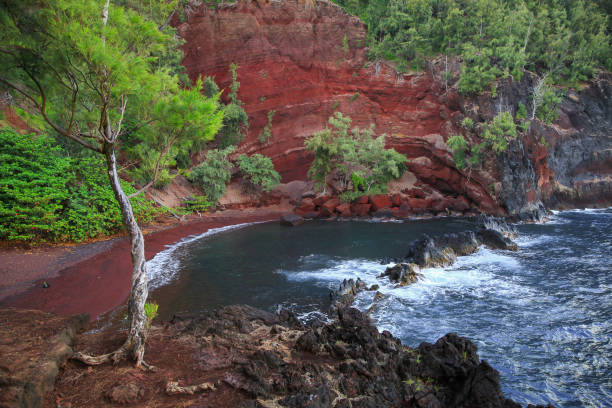 istock Red sand beach Maui, Hawaii 1222893312