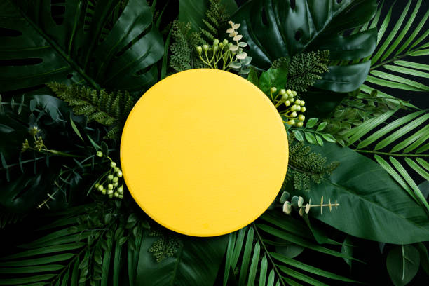 黄色のコピースペースの背景を持つ熱帯の葉。自然と夏の概念 - water rainforest frond tropical climate ストックフォトと画像