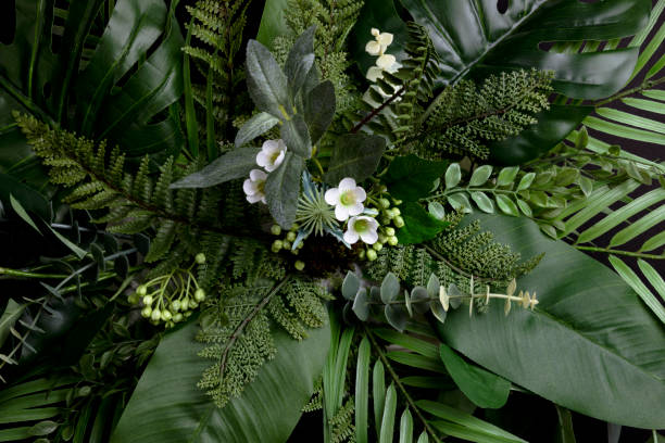 istock Tropical leaves with black copy space background.Nature and summer concepts 1222897474