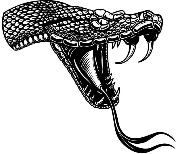 istock Illustration of head of poisonous snake  in engraving style. Design element for label, emblem, sign, badge. Vector illustration 1222898521