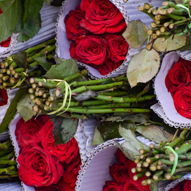 가지푸르 포울 만디 꽃 시장 상황 아침에, 꽃은 중국, 베트남, 태국, 인도에서 왔다 - india bangalore flower business 뉴스 사진 이미지